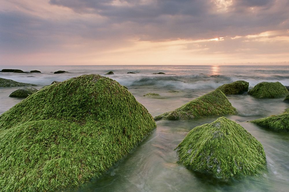 Photograph by Tuan Anh Nguyen