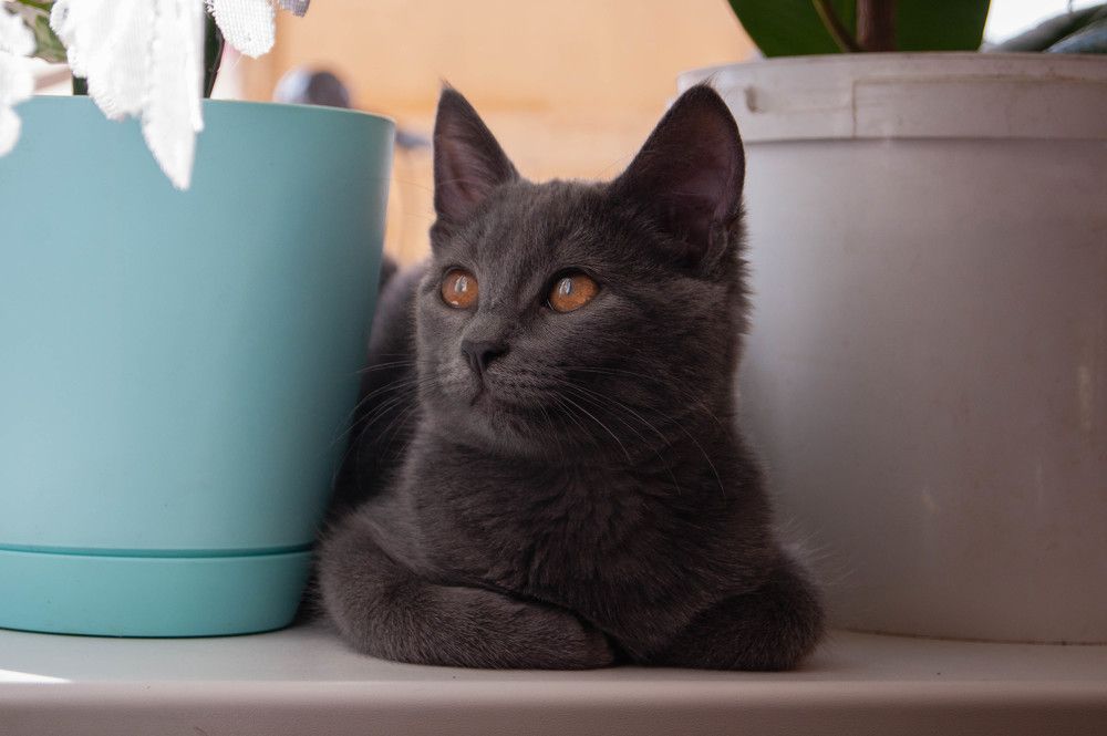 Photograph by Вадим Быстрыкин