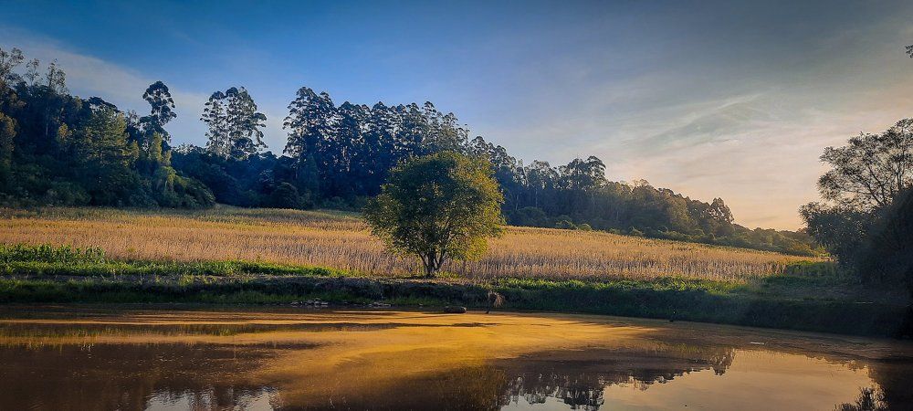 Фотография автора Iara krisna Puntel da Silva