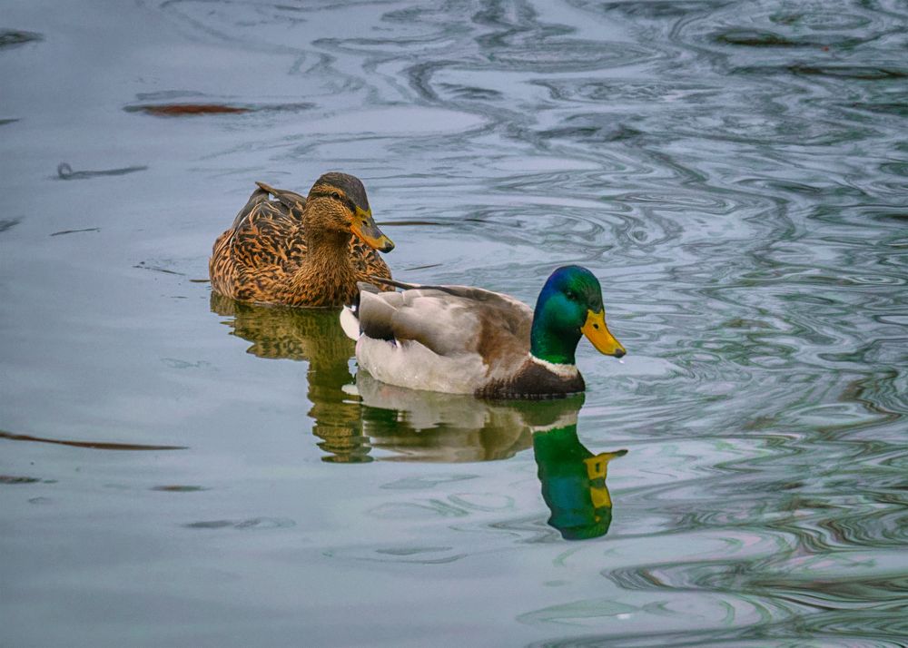 Photograph by Владимир Кваша