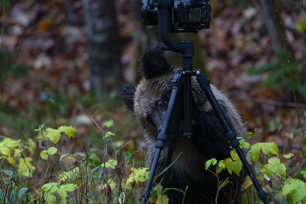 Photograph by daichi shimada