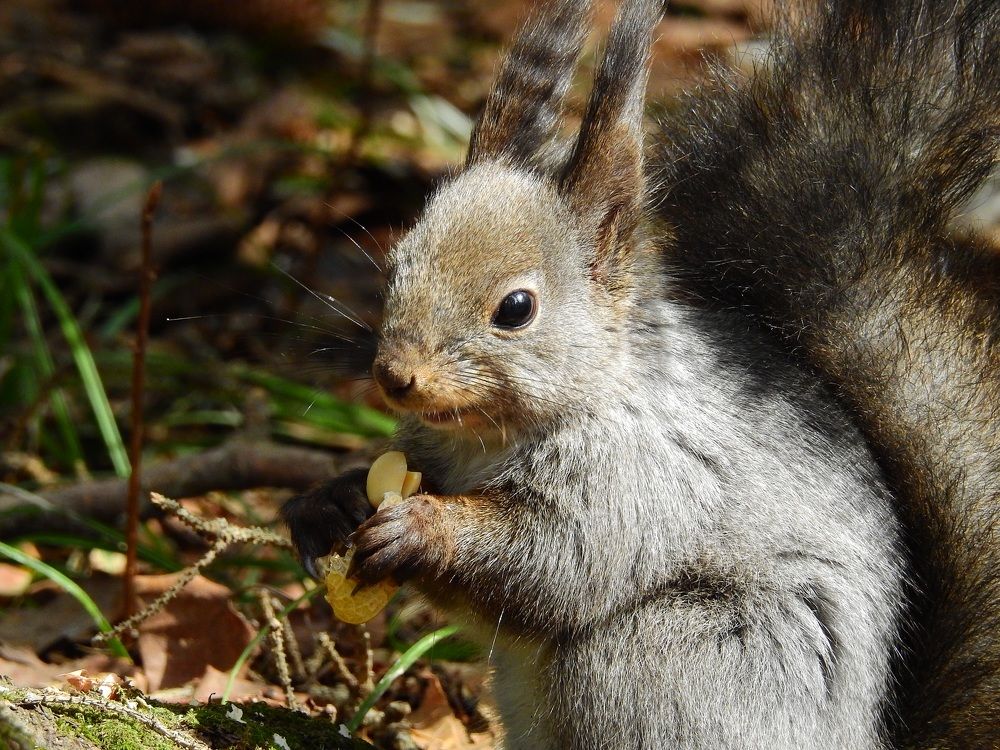 Photograph by Дмитрий Юдин