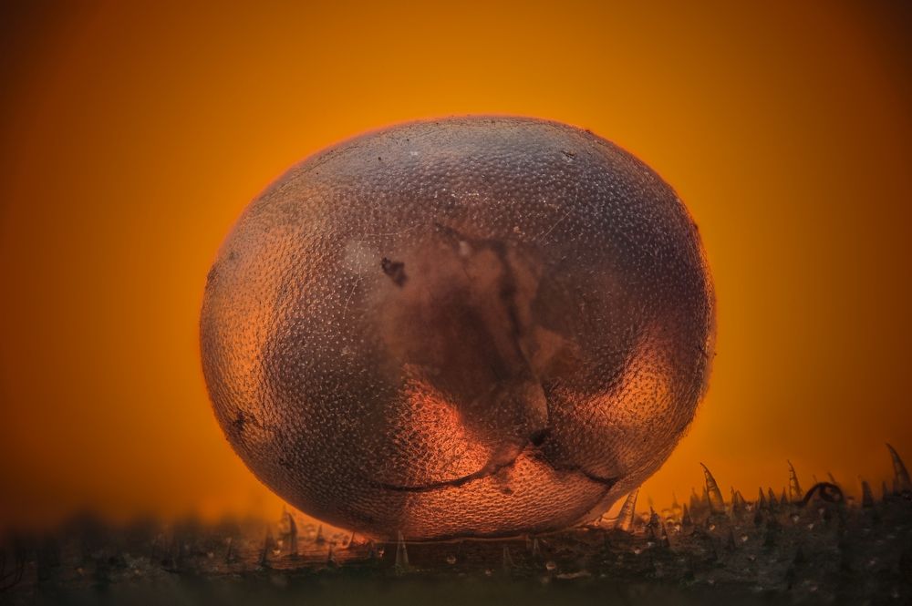 Photograph by alex Teo