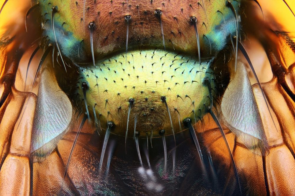 Photograph by alex Teo