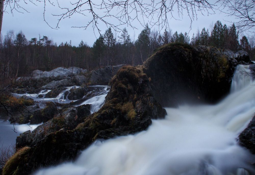 Фотография автора Светлана Терехова