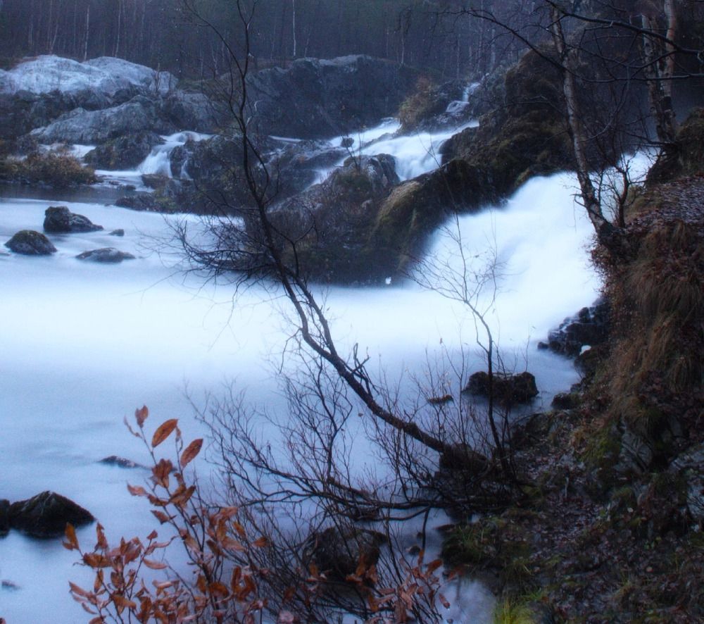 Фотография автора Светлана Терехова