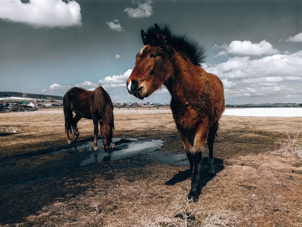 Photograph by Алексей Залевский