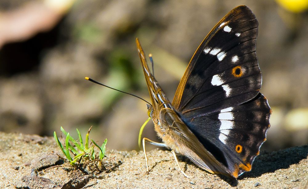 Photograph by Владимир Безбородов