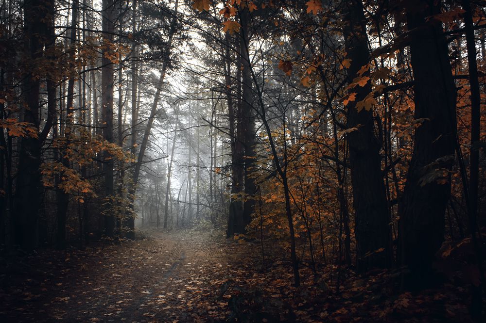 Photograph by Сергей Кочетов