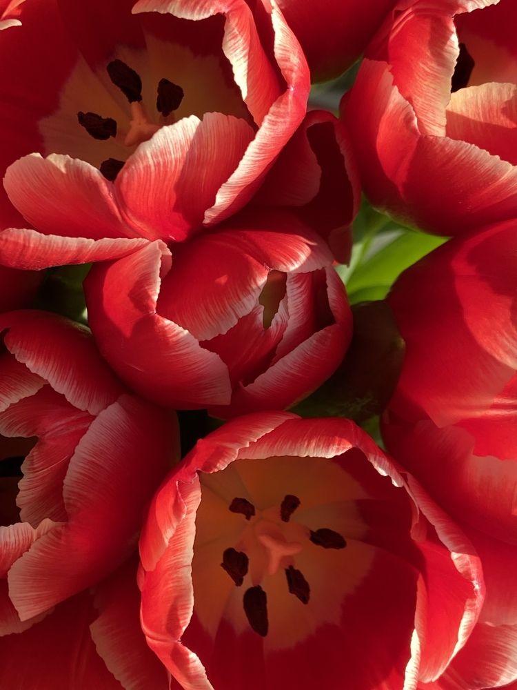 Фотография автора Алёна