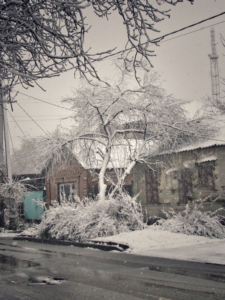 Photograph by Елена Кузнецова