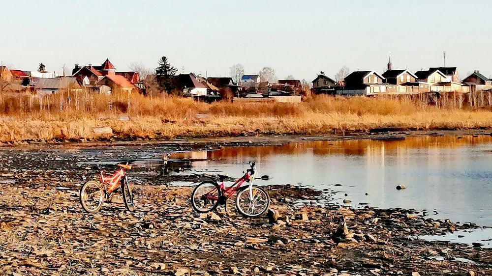 Photograph by Дмитрий Петренко