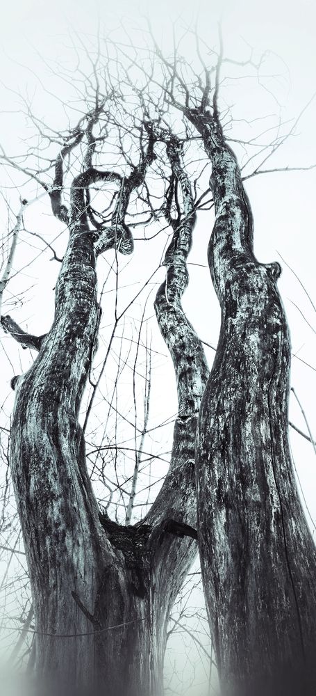 Фотография автора Михаил Урсус