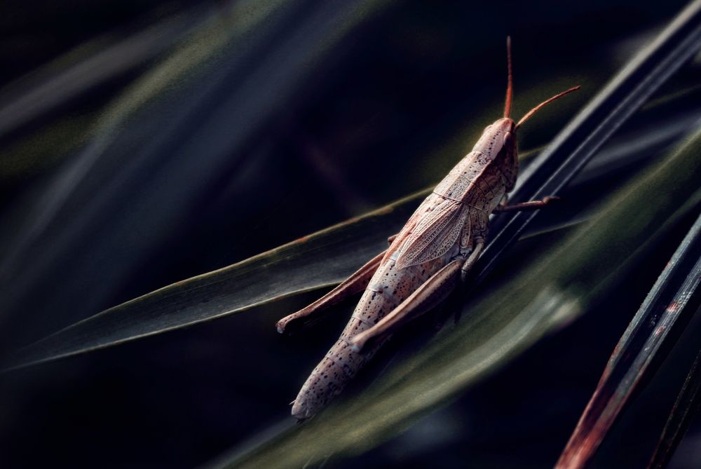 Photograph by Инна Карасева