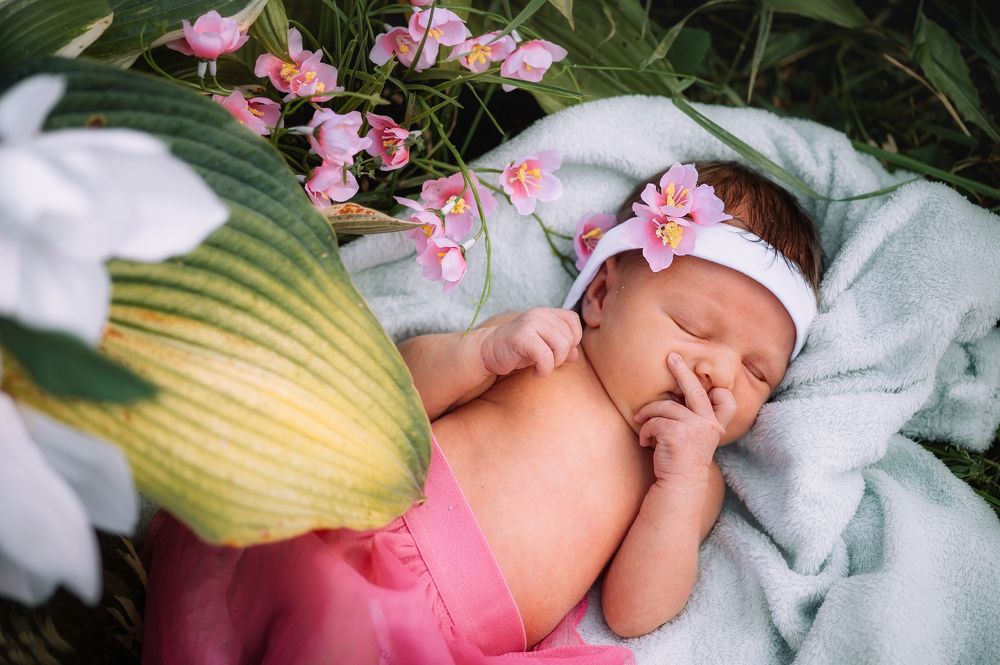 Photograph by Елена Раздвилова