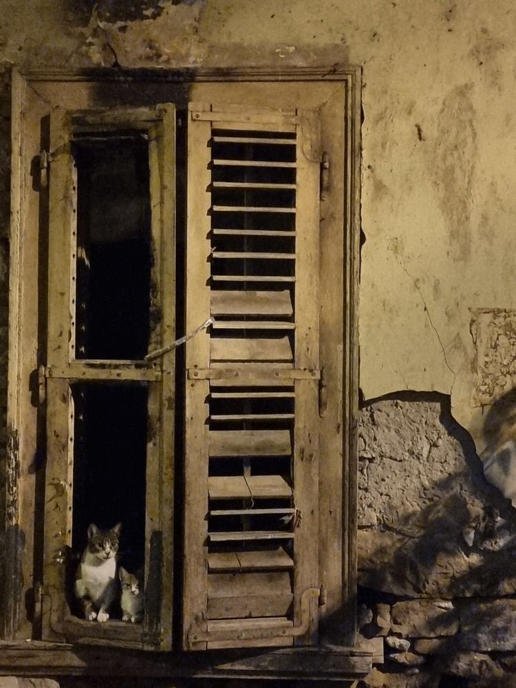 Фотография автора Olga Lyannaya