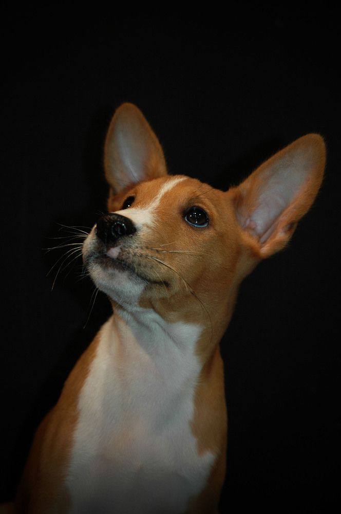 Photograph by Диана Ульянцева