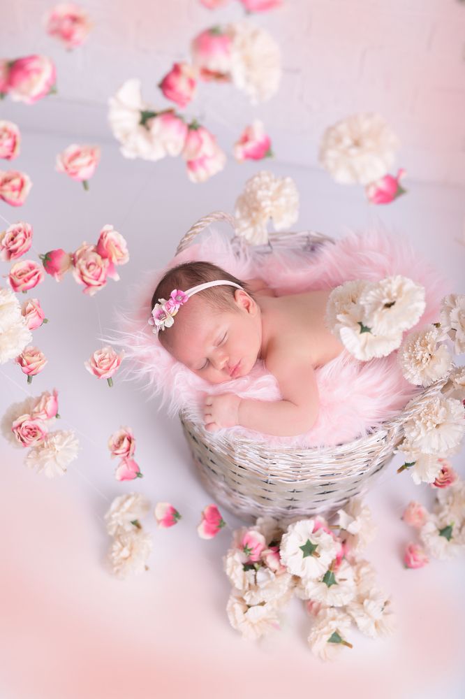 Фотография автора Katerina Zlateva