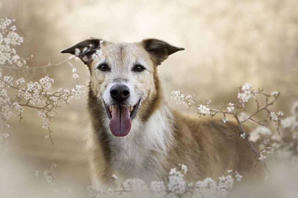 Photograph by leticia pascual garcia