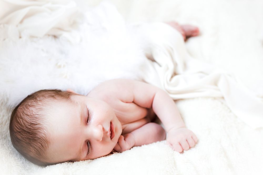 Photograph by Judit Mikol