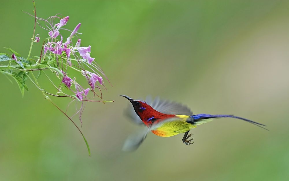 Photograph by Kan Chung Wong