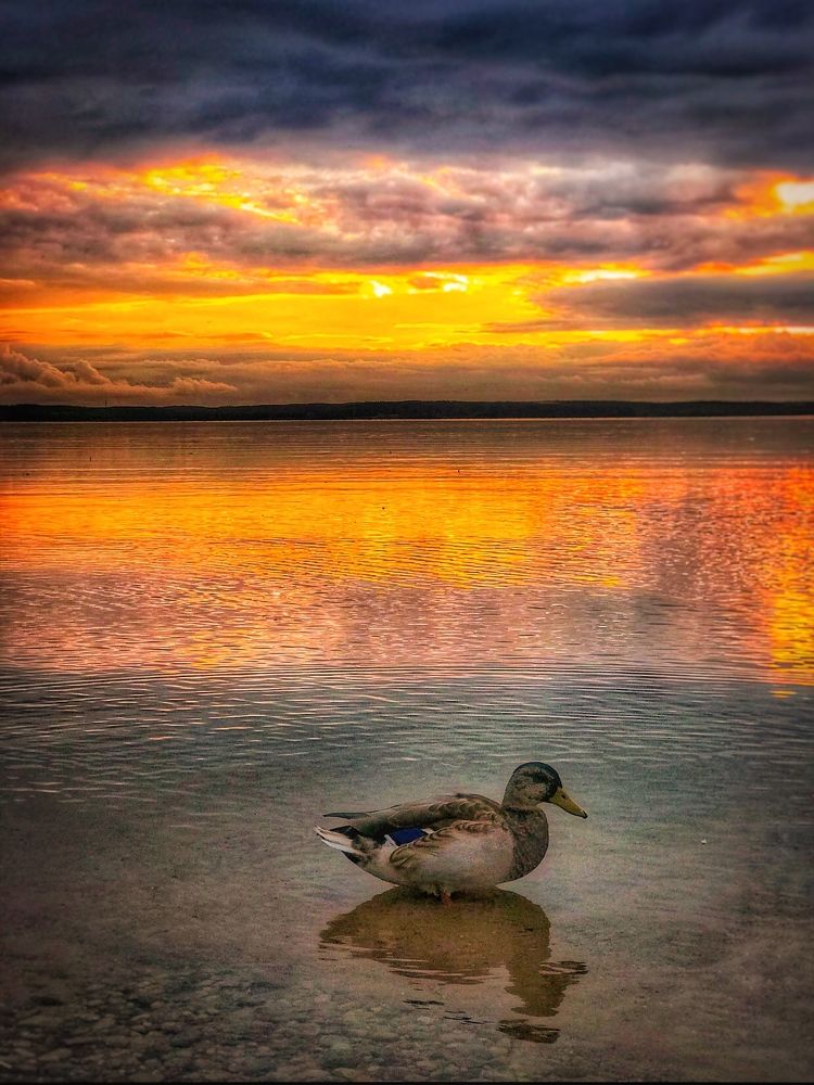 Photograph by Армен Егиян