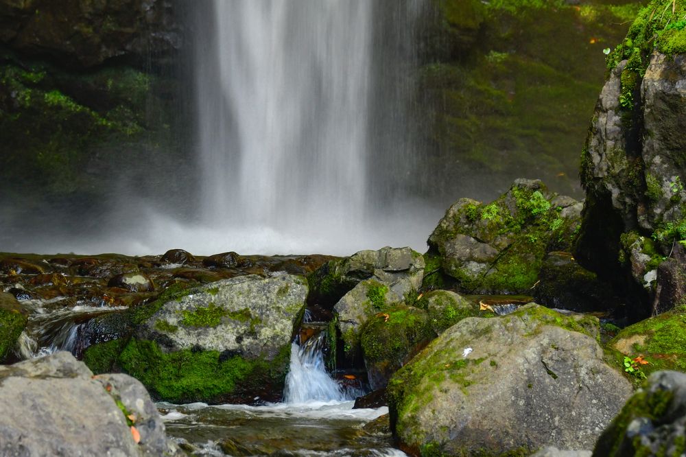 Photograph by Олег Корешонков