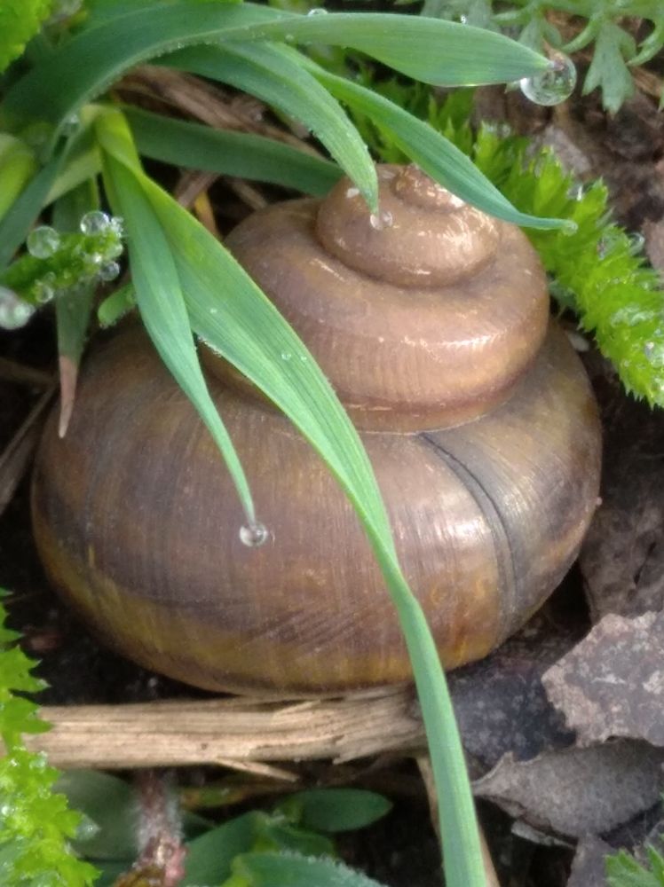 Photograph by Елена Коробченко