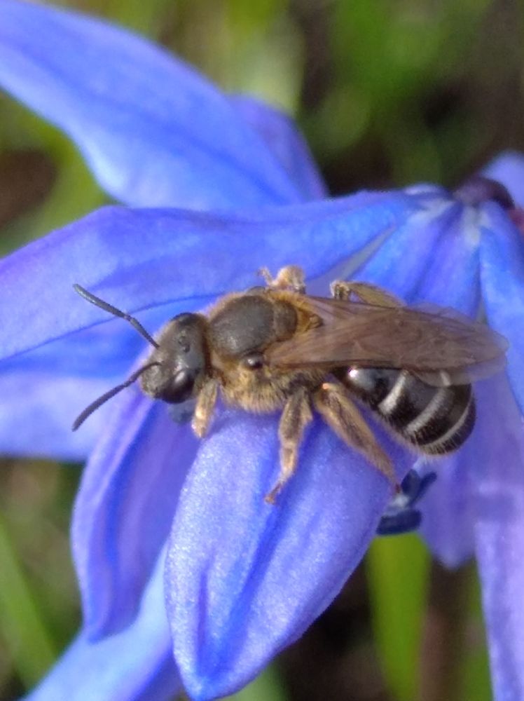 Photograph by Елена Коробченко