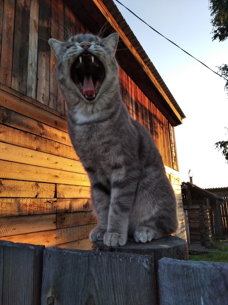 Photograph by Анастасия