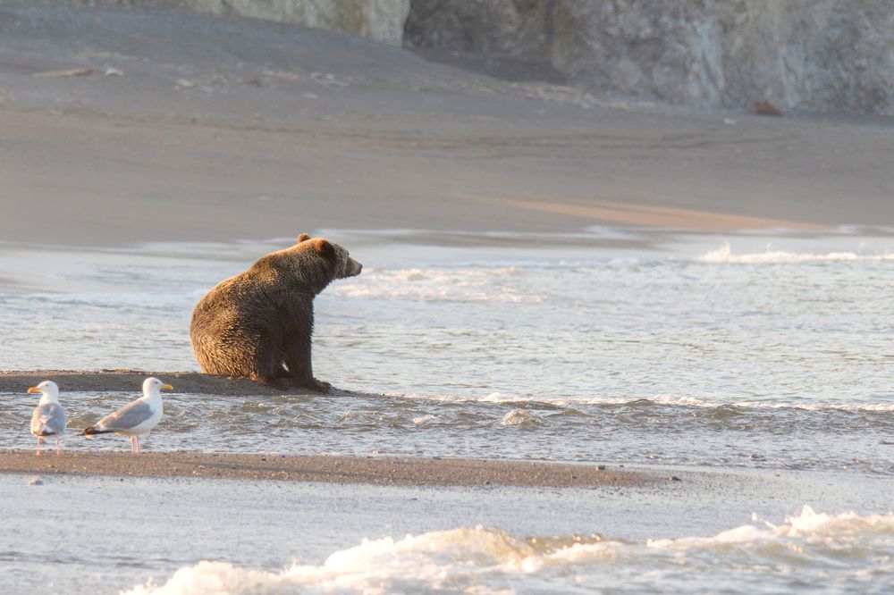 Жду у моря погоды