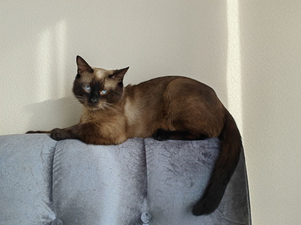 Photograph by Наталья Сергеевна Крылова