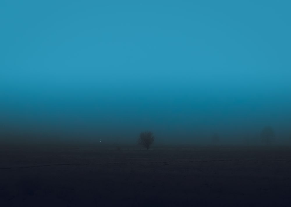 Photograph by mehrshad hassani