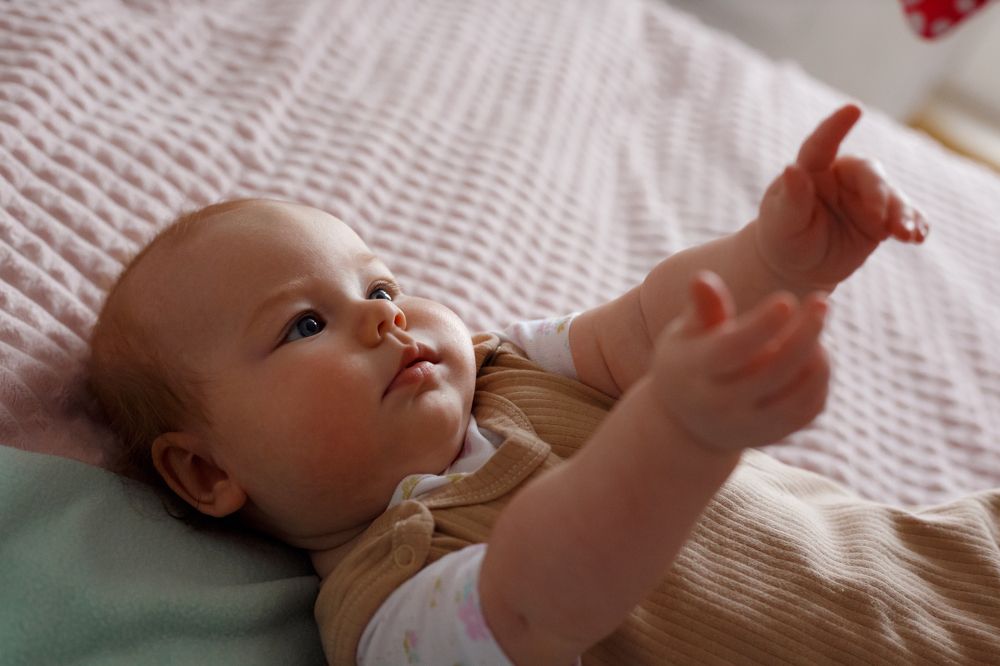 Photograph by Звездина Валентина