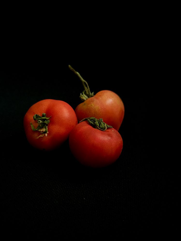 Photograph by Elizabeth Kabatskova