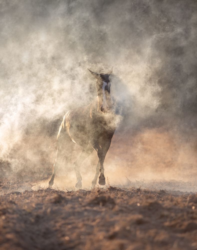 Photograph by Татьяна Немова
