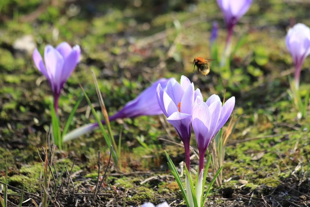 Photograph by Леонид Дубина