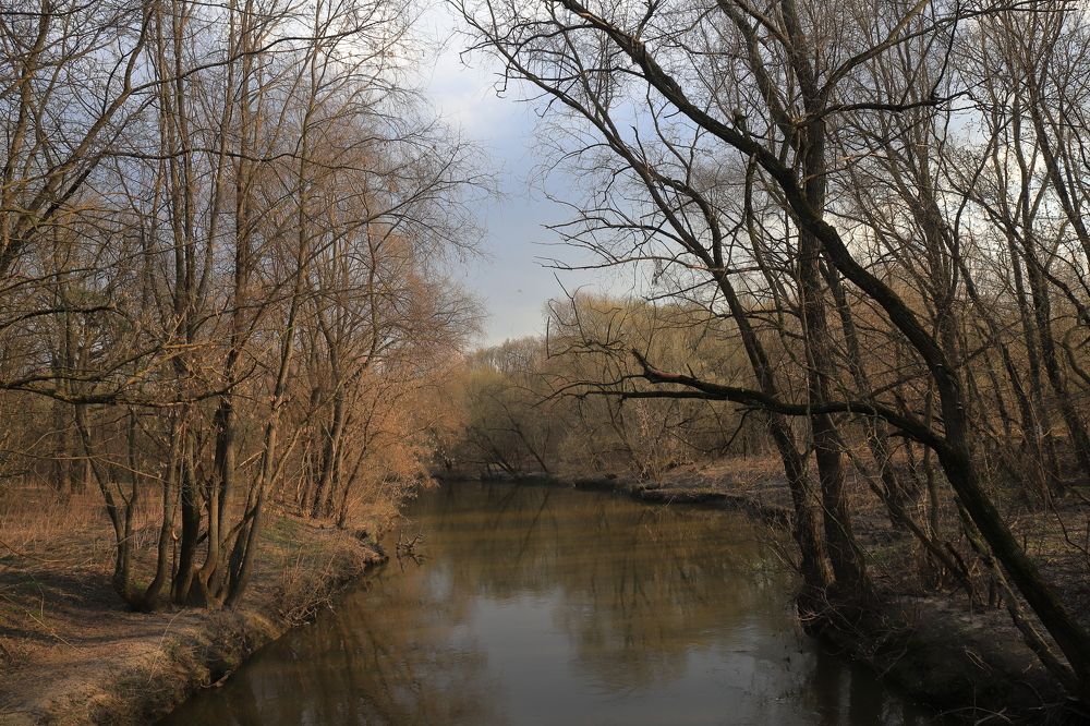 Photograph by Леонид Дубина