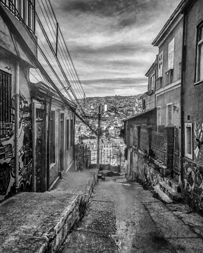 Photograph by Geraldine Michell