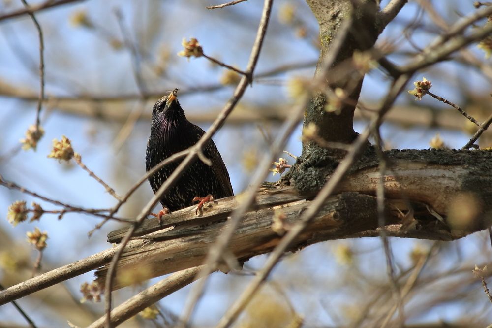 Photograph by LEONID DUBINA