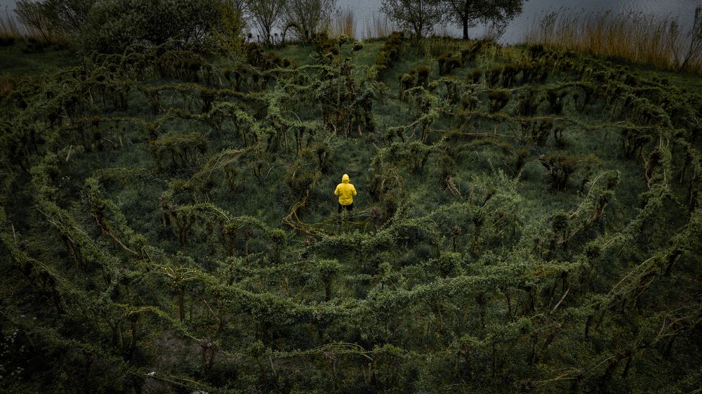 Man in yellow jacket