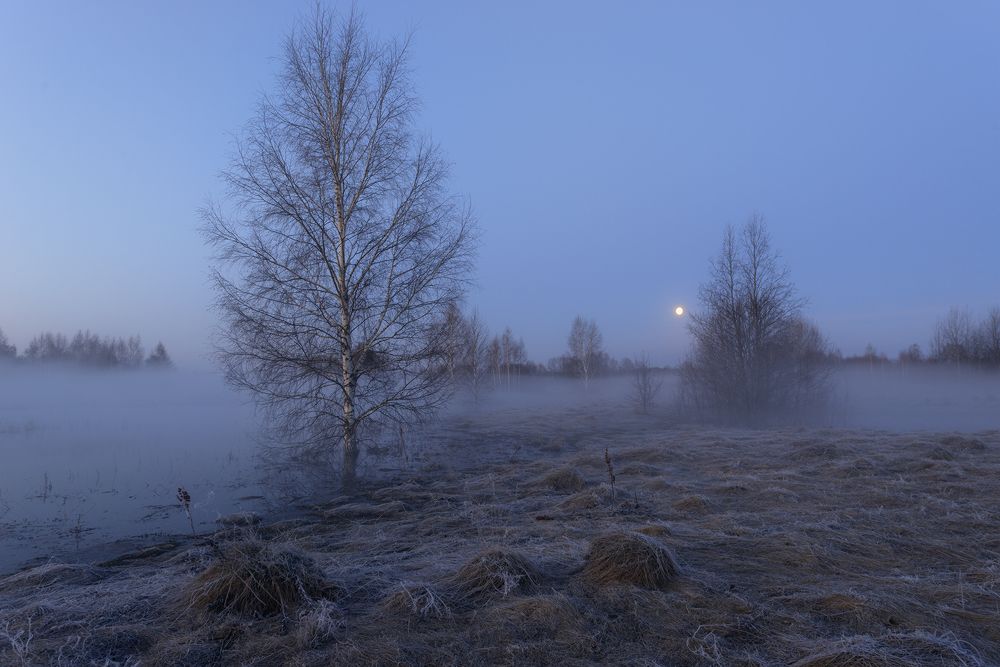 Photograph by Вадим Качанов