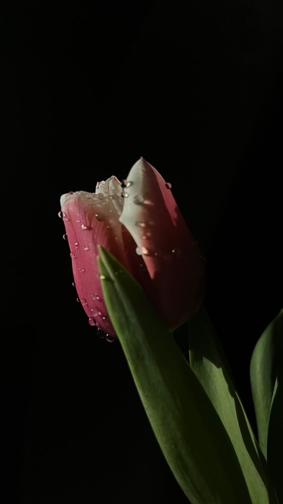 Photograph by Егорова Оксана