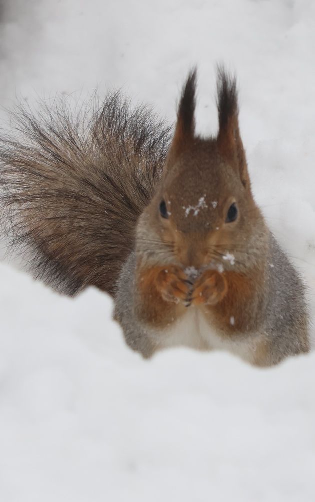 Photograph by Алексей Михайлов