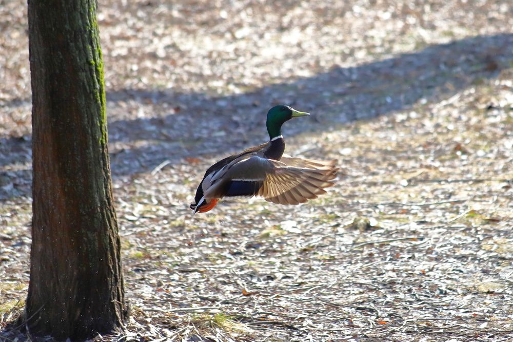 Photograph by LEONID DUBINA