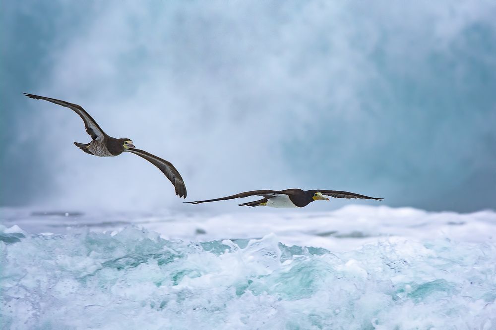 Photograph by André Inidio