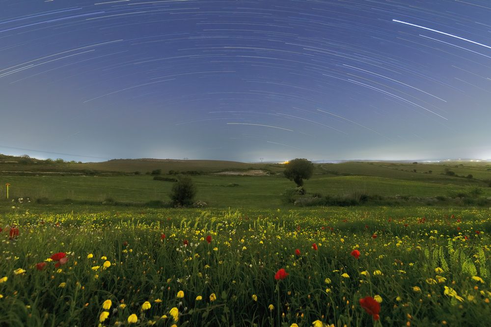 Photograph by Fabio Cartelli