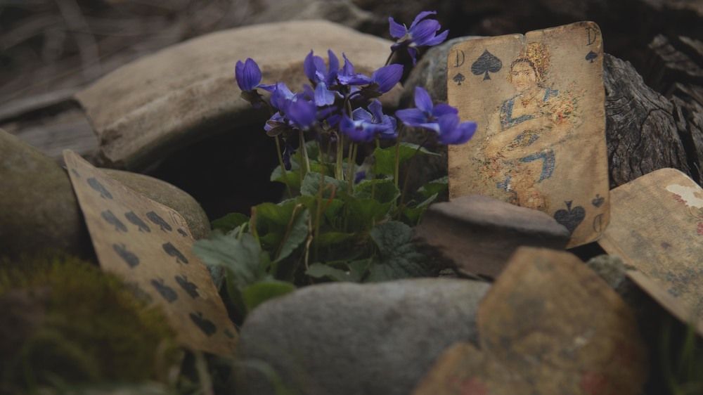 Пик цветения