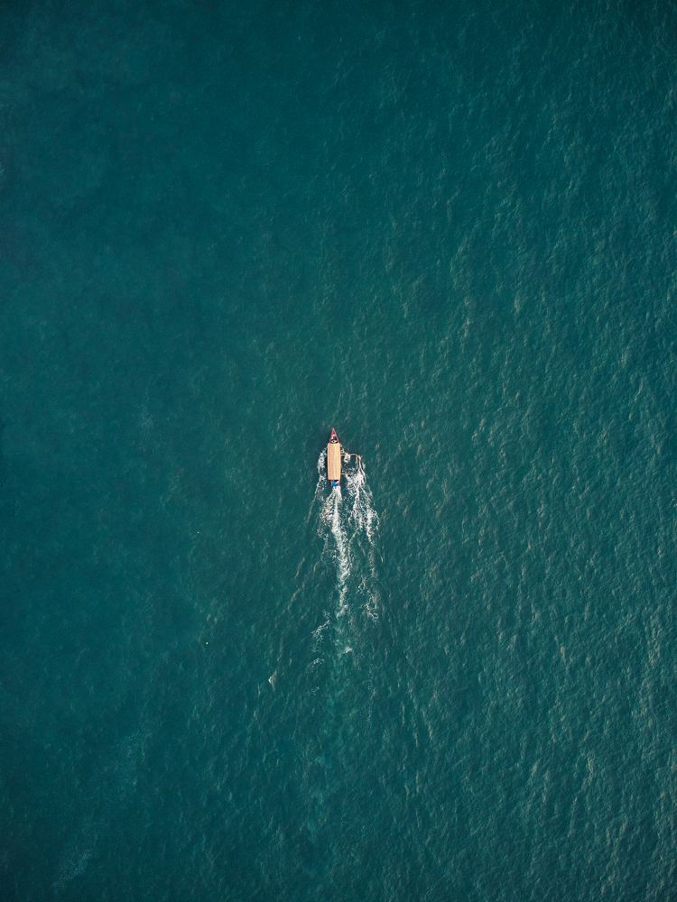 Photograph by Sheldon Rodrigues