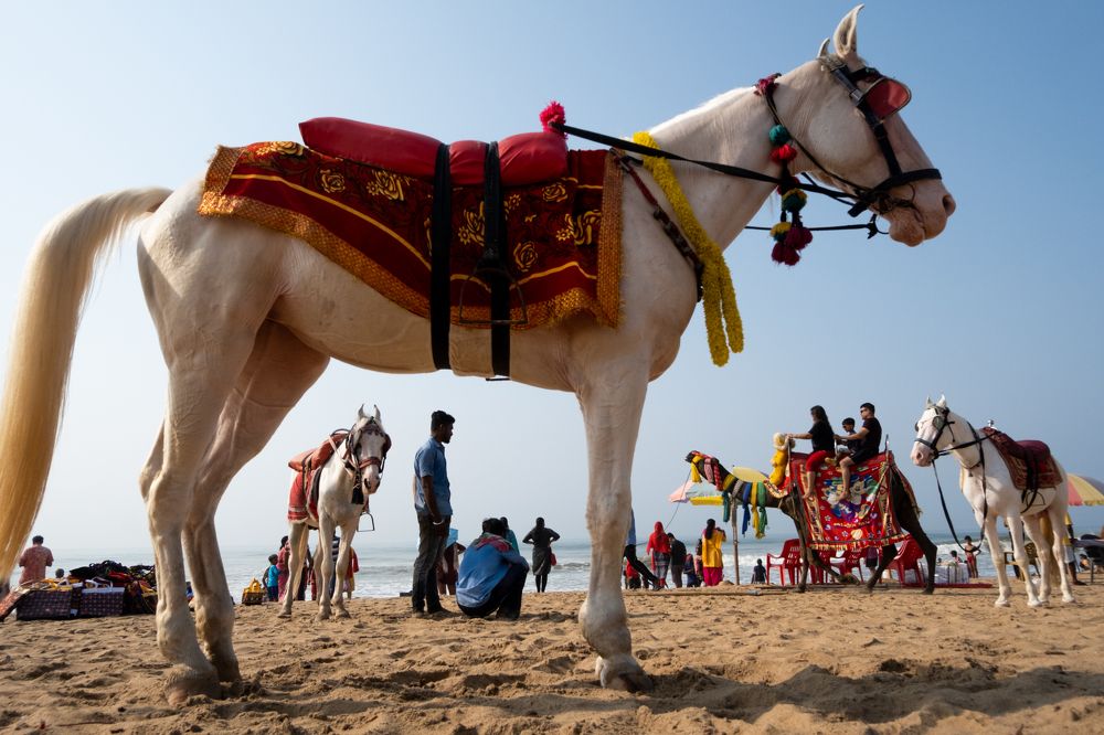 Photograph by Chetan Verma